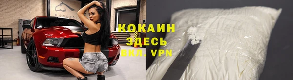 молекула духа Белоозёрский